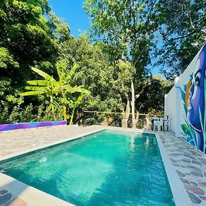 book here